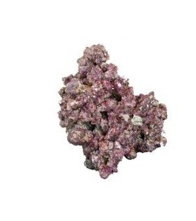 Real Reef Rock