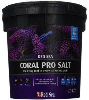 Coral pro Salt