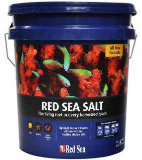 Red Sea Salt