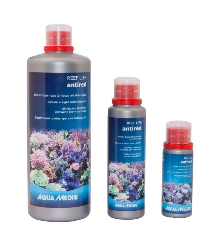 REEF LIFE antired