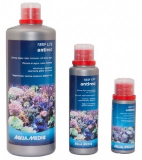 REEF LIFE antired
