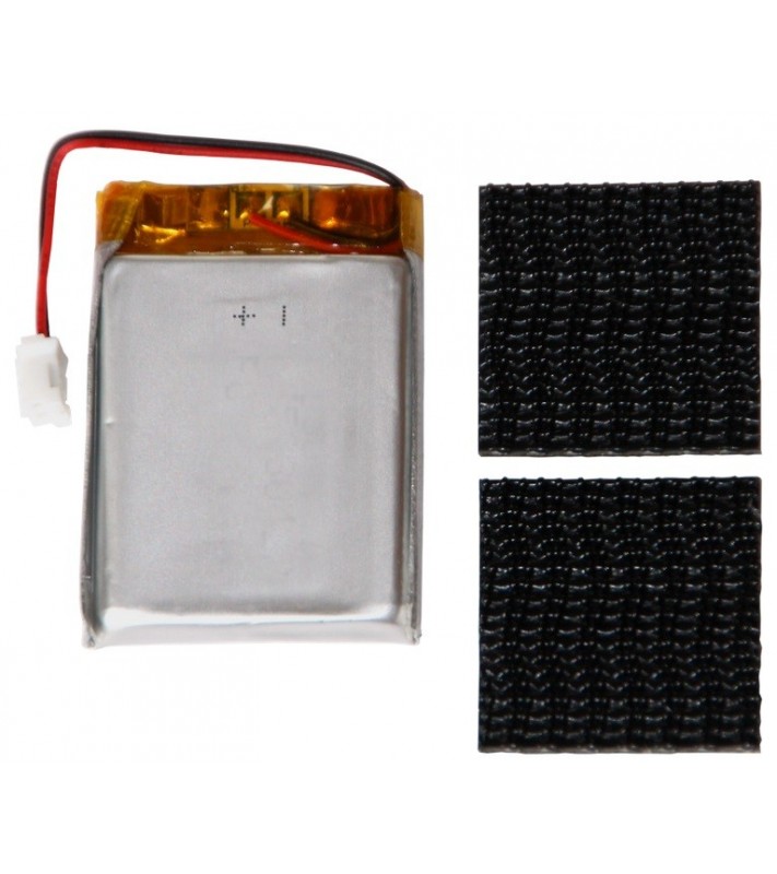 SMS-Module-Battery