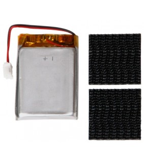 SMS-Module-Battery