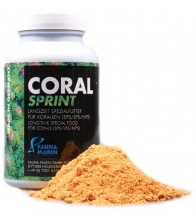 Coral Sprint
