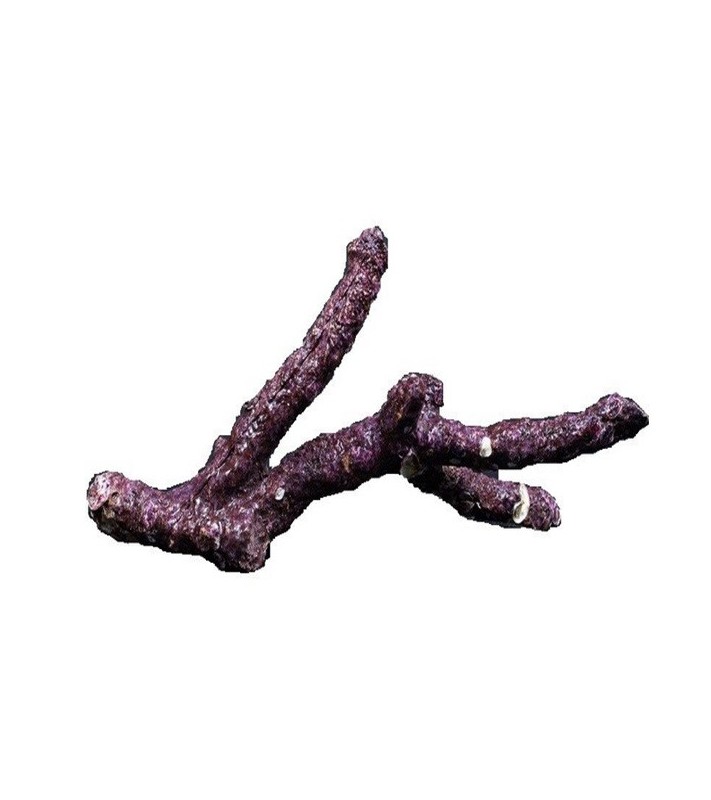 Real Reef Rock Branch