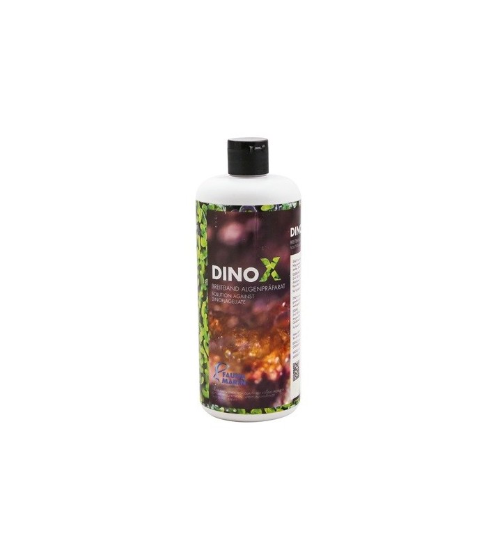 DINO X