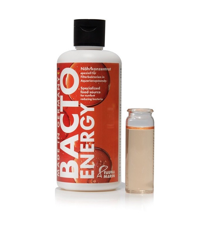 BACTO ENERGY
