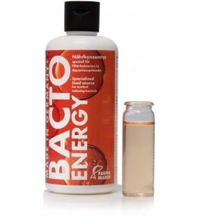 BACTO ENERGY