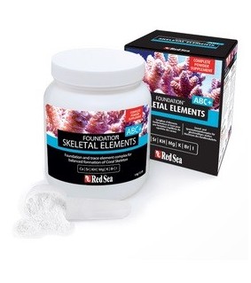 SKELETAL ELEMENTS ERGÄNZUNG