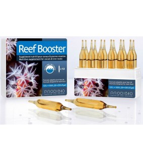 Reef Booster