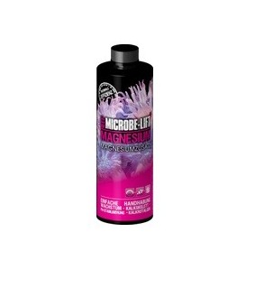 Phytoplankton for corals