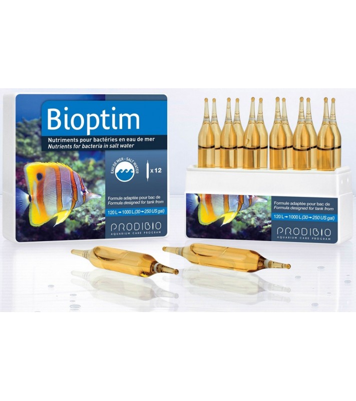 Bioptim