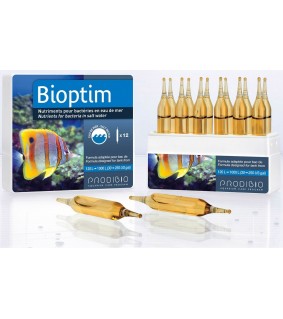 Bioptim