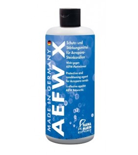 AEFW X