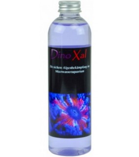 DinoXal 500 ml, Algenprobleme, Algen Bekämpfen