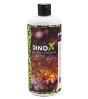 DINO X