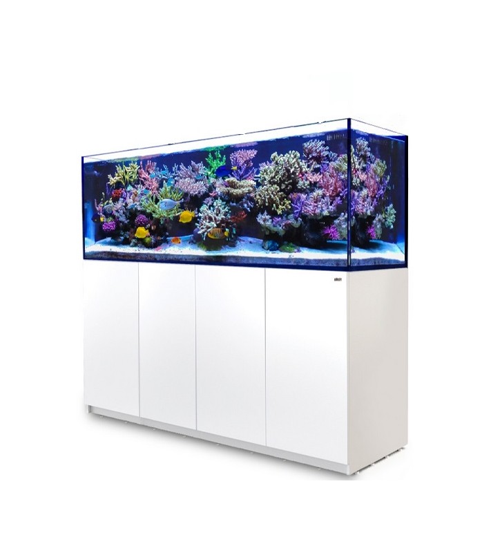 REEFER-S 1000