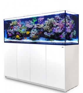 REEFER-S 1000