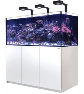 REEFER-S G2+ 850 Deluxe