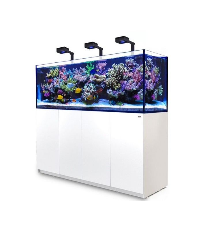 REEFER-S G2+ 1000 Deluxe