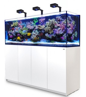 REEFER-S G2+ 1000 Deluxe