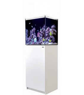 Red Sea REEFER XL 200