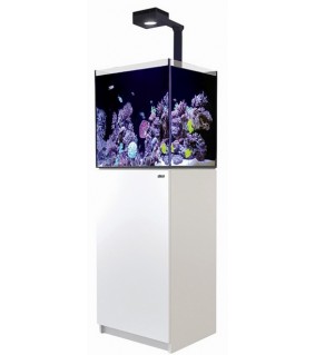 copy of Red Sea REEFER NANO