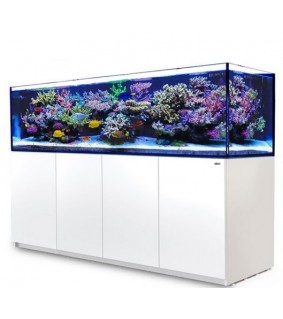 Red Sea REEFER XXXL 900, Red Sea REEFER 3XL 900