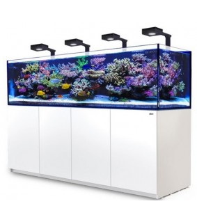 copy of Red Sea REEFER NANO