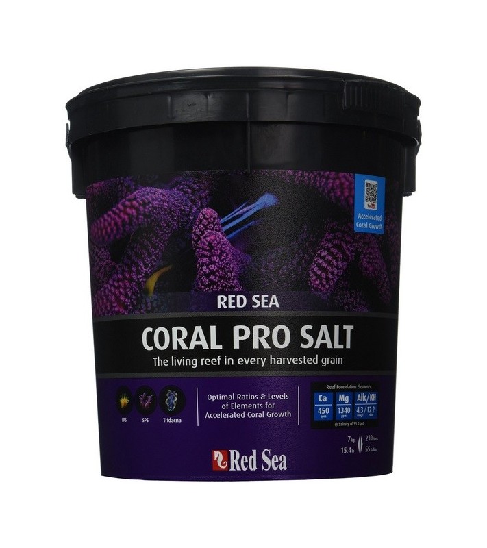 Coral pro Salt