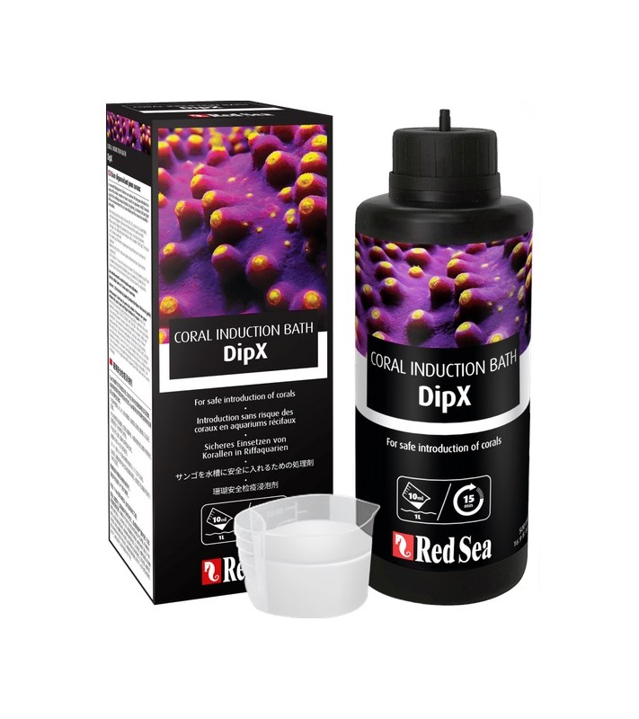 DipX, Korallenbad, Korallenbehandlung, Korallen Dip