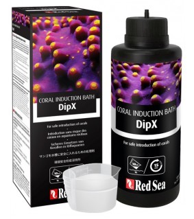 DipX, Korallenbad, Korallenbehandlung, Korallen Dip