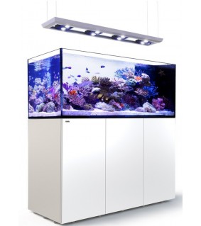 copy of Red Sea REEFER De. Peninsula 500