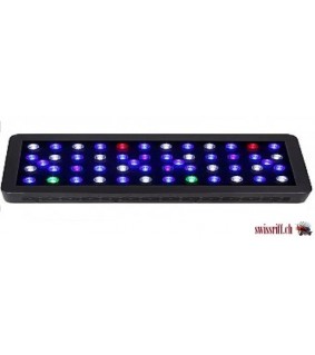 SUNSHINE 52 Pro