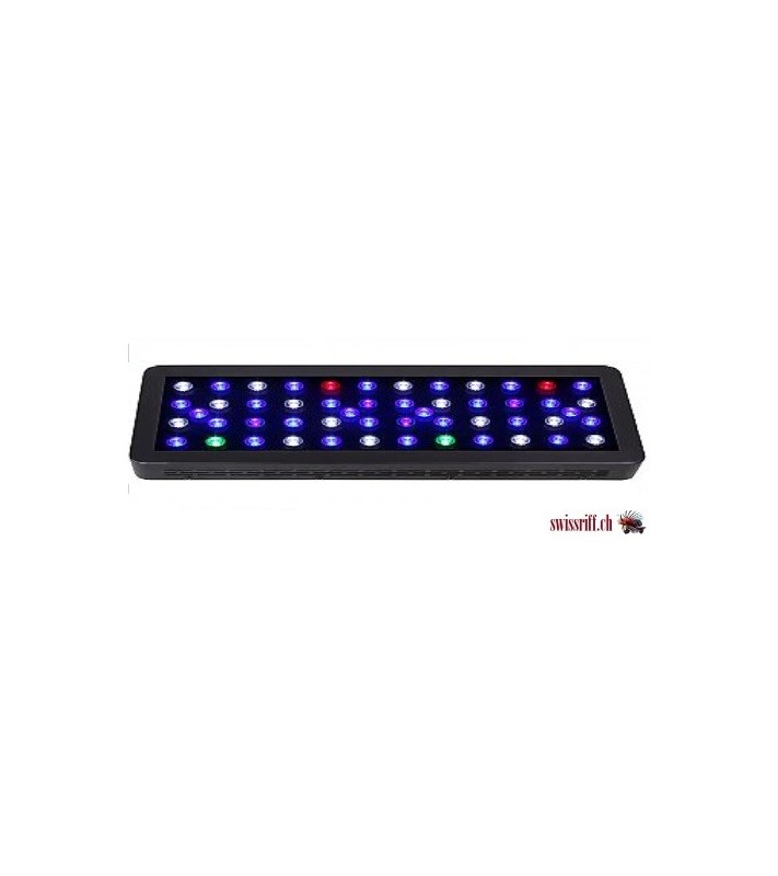 SUNSHINE 52 Pro