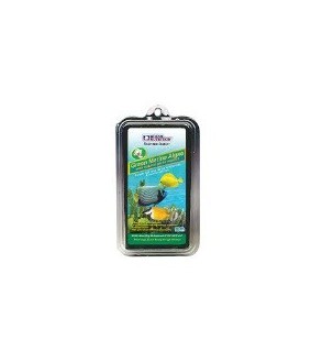 Green Marine Algae
