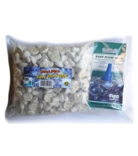 Reef Pins