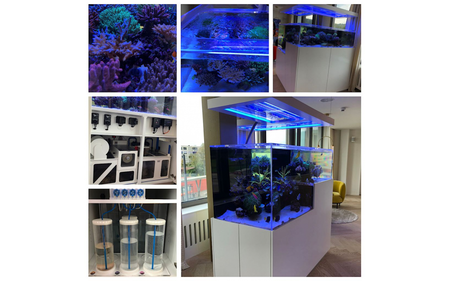 artis Ästhetikzentrum